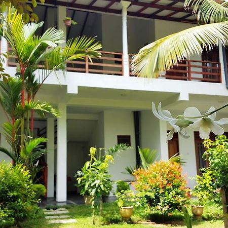 Splendid Lodge Mirissa Dış mekan fotoğraf