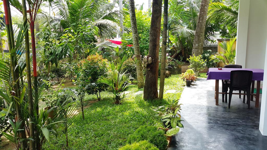Splendid Lodge Mirissa Dış mekan fotoğraf