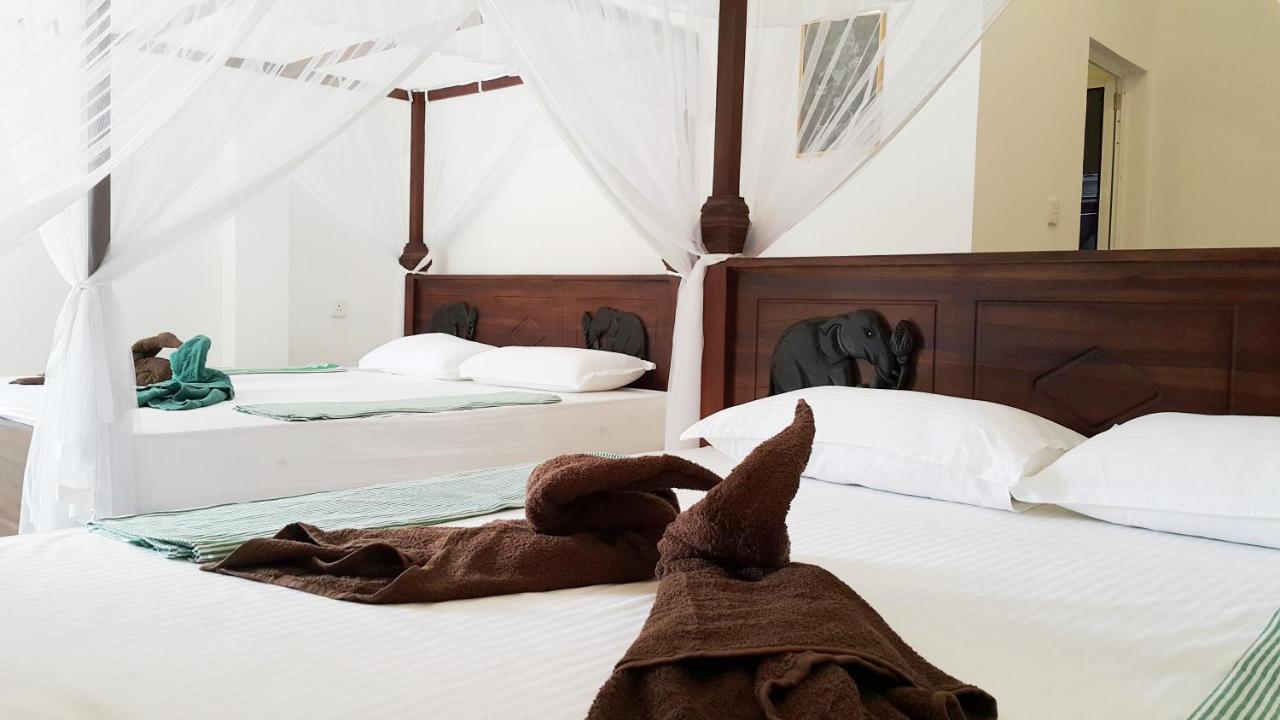 Splendid Lodge Mirissa Dış mekan fotoğraf